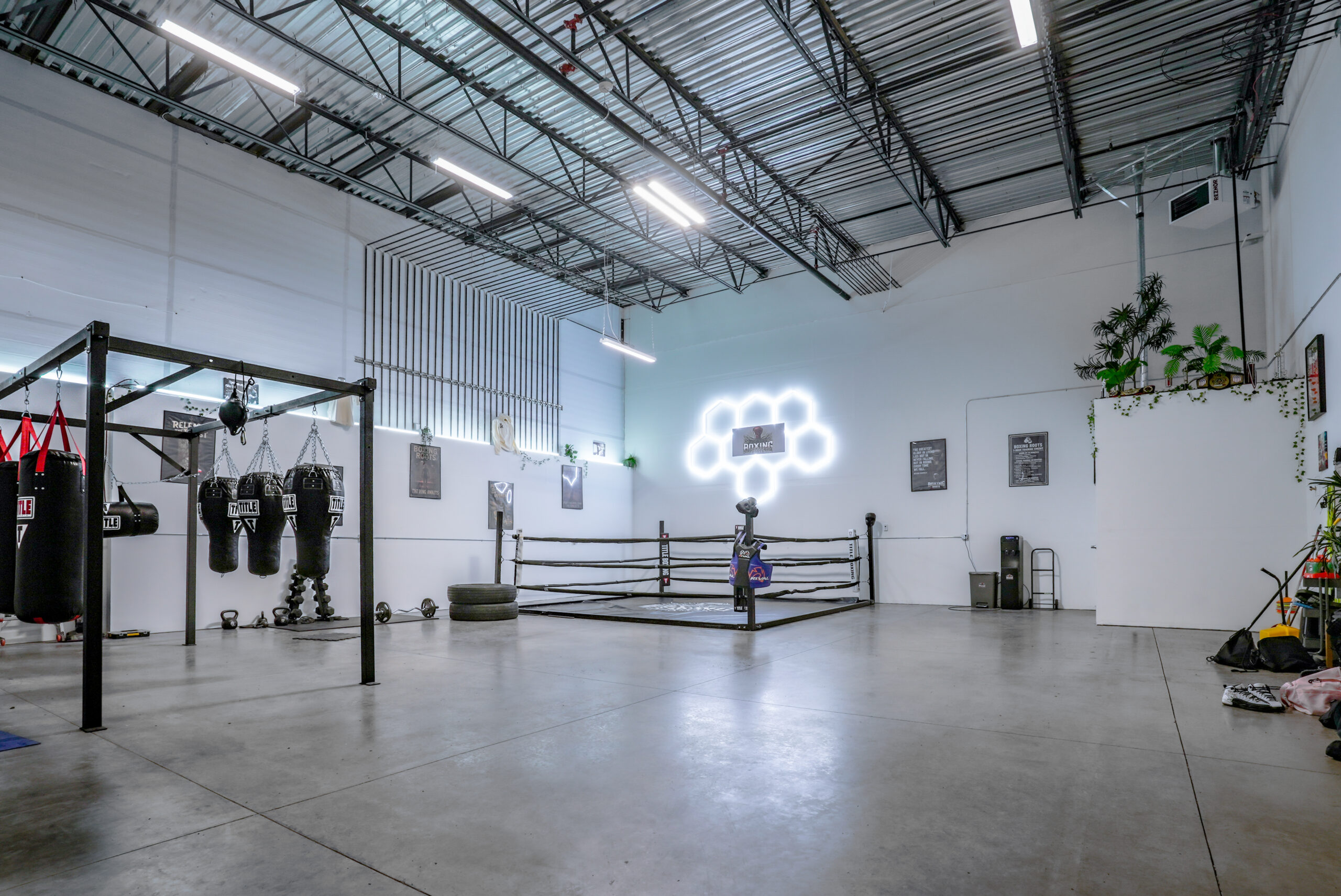 Describe image 2 here